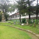 발산초등학교 이미지