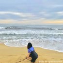 강문해변 이미지