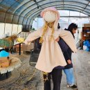 미애농장 | 팜크닉 천안점 ( 미애친애 농장 , 소노벨 농촌체험...가기전에 꼭 봐야할 꿀팁, 준비물!!! 내돈내산 후기.