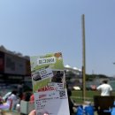 허쉬.10 | SSG랜더스 도그데이 | 몰리스 도그데이 | 강아지와 야구장⚾️ | 위풍댕댕 퍼레이드 당첨!! 산책...