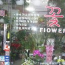 꽃집 - 종로구 종로8길 5-8 | 꽃집