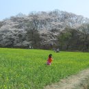 나비야함평가자 이미지