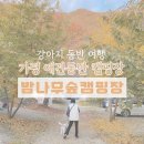 가평밤나무숲캠핑장 이미지