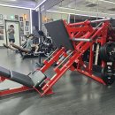 [가격인하] 해머 파워 레그프레스 / 너틸 딥 머신 판매합니다 이미지