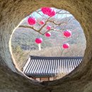 달봉농원 이미지