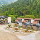 더숲852 이미지