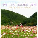 내미로리 | [삼척팸투어 후기] "왕의 코스모스" 축제 탐방