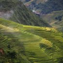 남부 제1화장실 이미지