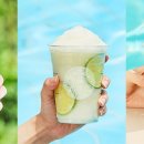 라임스위트 이미지