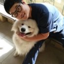 웰빙동물병원 이미지