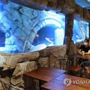카페 디(CAFE D) 이미지
