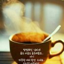 알찬하루 Daum카페