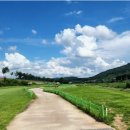 파크골프장 이미지