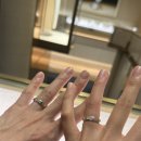 코메데코 | 웨딩 밴드 I 반지 원정대 1일차 출똥 : 피아제, 불가리, 쇼메 (대전 신세계)