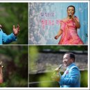 숲속의 둥지 이미지