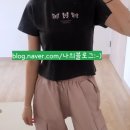 🖤 [블랙핑크 제니 착용템] 레터프롬문 트리플 나비 자수 반팔티 (차콜 레귤러핏) 리얼 후기 🦋