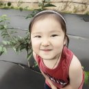 중선농장 네이버블로그