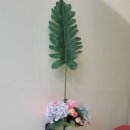 메리몰 펫샵 율하점 이미지