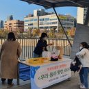 새봄초등학교 이미지