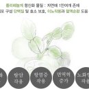 주식회사 센스맘 이미지
