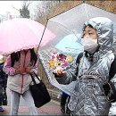 Radioactive 이미지