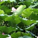 설악면사무소 (1층) 이미지