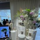HOTEL DE CIEL(드 씨엘) | [W다이어리] 베뉴 정하기_대전 Ciel de Foret
