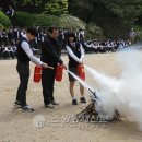 서울전자고등학교