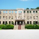 통일동산 평화로 버즘나무길 | 국내 기독교 성지순례 #15 철원-화천-양구벨트