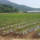 ㈜서진개발 이미지