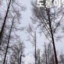 와와분식 네이버블로그