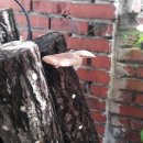 신영경로당 이미지