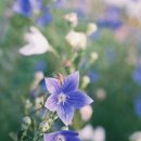 추산경로당 이미지