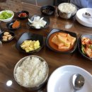 우기해정