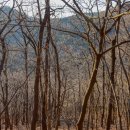 봉수대로 이미지