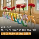 배산의 희망나무 | 부산 마을 건강 힐링 출강 프로그램 나만의 꽃 화병 만들기 단체 후기