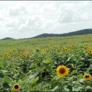 창공농장 이미지