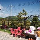 돌고래 펜션 이미지