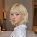 베스트헤어 네이버블로그