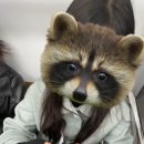 가은6호 이미지