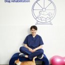 에스디(SD)동물의료센터,서울 | 중구 신당동 동물병원 SD동물의료센터 서울점 진료시간 접근성 이용후기