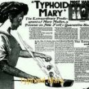 Typhoid Mary 1 이미지