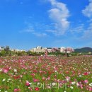금강신관공원1 투어코리아