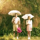 삼척미로정원 이미지