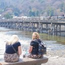 상업용 68 | 일본 교토여행 코스 : 교토버스투어 후기 와쿠와쿠 1호선 예약