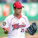 엠(M) 메이저 이미지