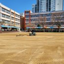 서울신양초등학교 이미지