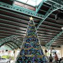 발할라짐 | [필리핀/세부] 플랜테이션 베이 라군뷰 (발할라)