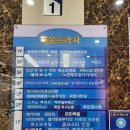 채혜선음악학원