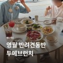 하송로 | 영월 반려견동반 식당 추천｜브런치까지 맛있었던 영월 브런치 맛집 '두메 브런치' 후기